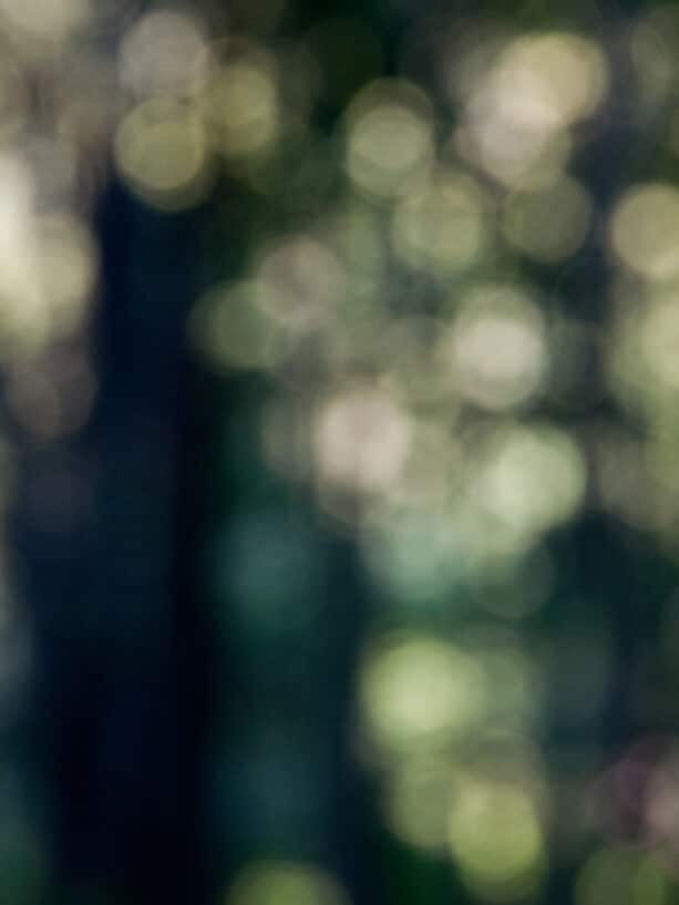 All The Little Fragments: Understanding Complex Relational Trauma