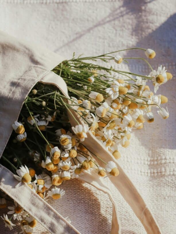 What Does It Mean To Create A Beautiful Adulthood For Yourself?