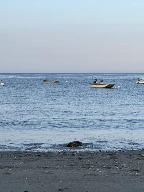 My Money Trauma Has a Thousand Origin Stories