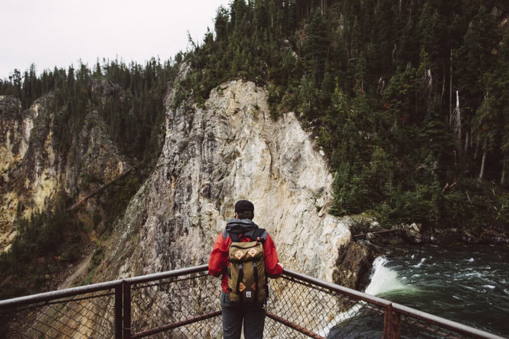 A person standing on a lookout over a canyon, symbolizing perspective and clarity gained after healing from trauma bonding.