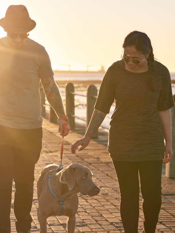 Stocksy txpf41627140xk100 medium 1346254