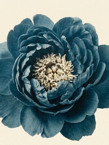 How Therapy Actually Works: A Therapist's Honest Guide for First-Timers and Skeptics | Annie Wright, LMFT | www.anniewright.com