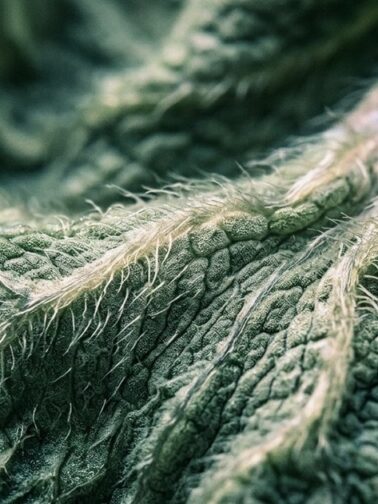 Complex PTSD (C-PTSD): A Trauma Therapist's Complete Guide | Annie Wright, LMFT | www.anniewright.com