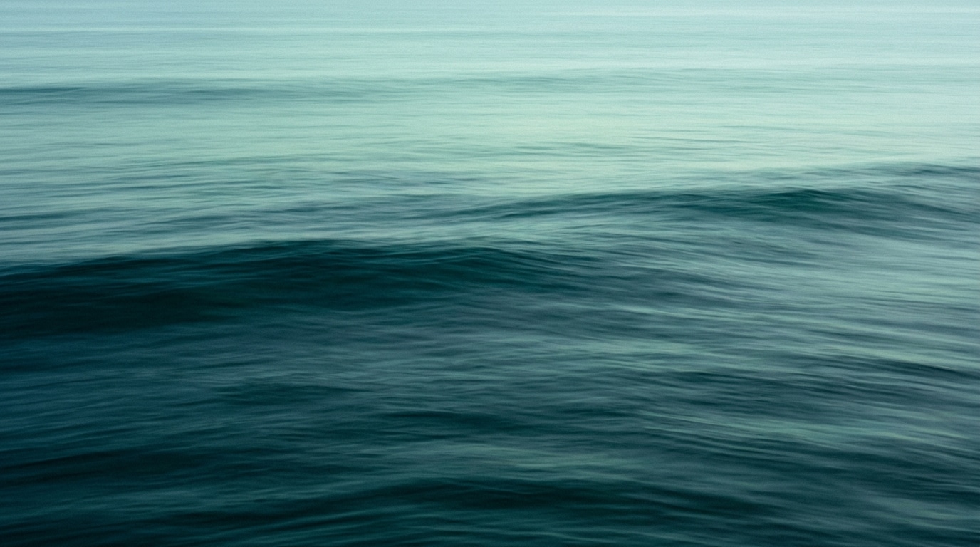 Going no contact with a sociopath — Annie Wright, LMFT