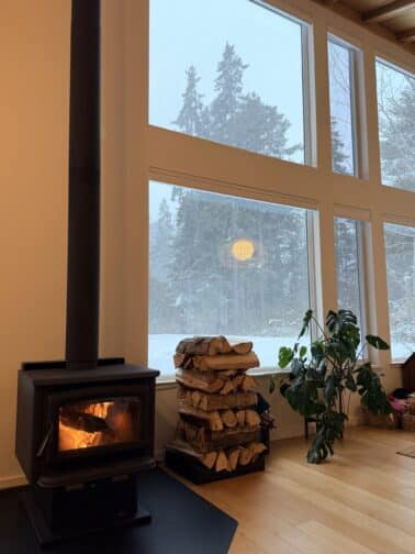 I had a lousy childhood. I want a good adulthood.