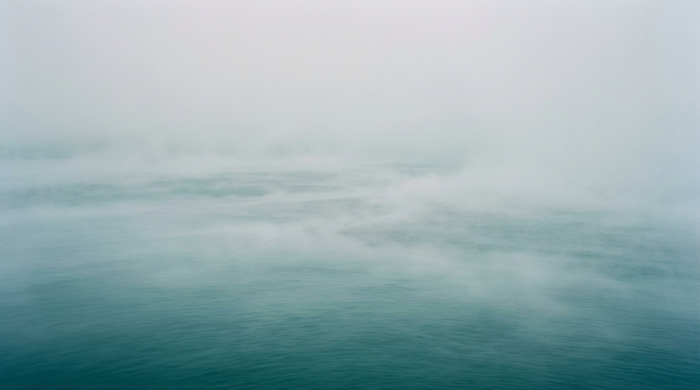 Misty seascape morning fog ocean