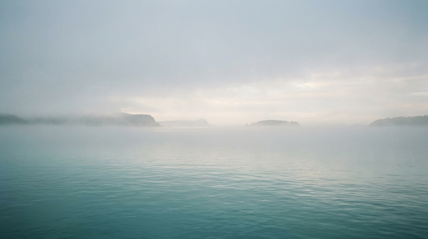 Disorganized Attachment: The Complete Guide to Understanding and Healing — Annie Wright trauma therapy