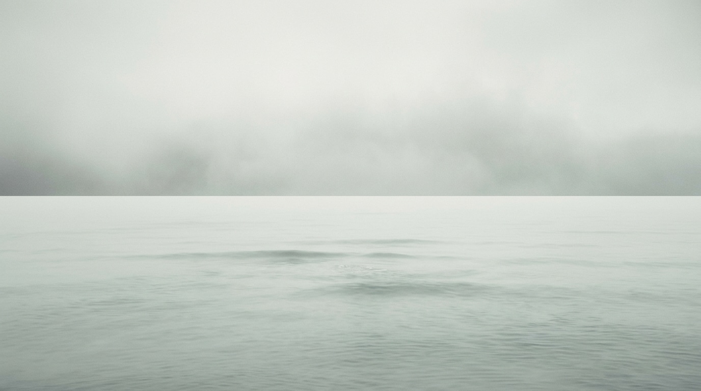 Misty seascape morning fog ocean