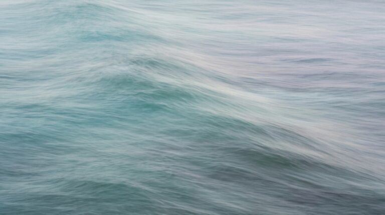 August Q&A: When Your Family Doesn’t Celebrate Your Success