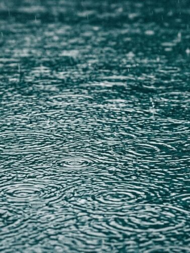 Rain drops on water surface