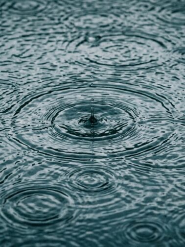 Rain drops on water surface