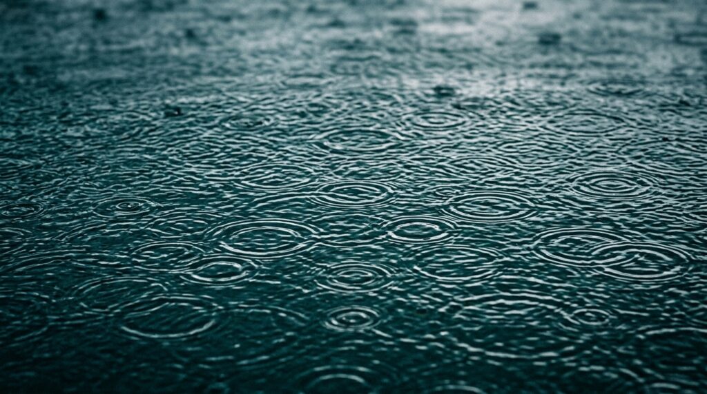 Gentle light on a calm water surface — a visual metaphor for finding peace and healing through online therapy in Virginia