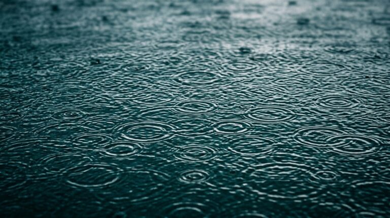 So what kind of career do you want anyways?