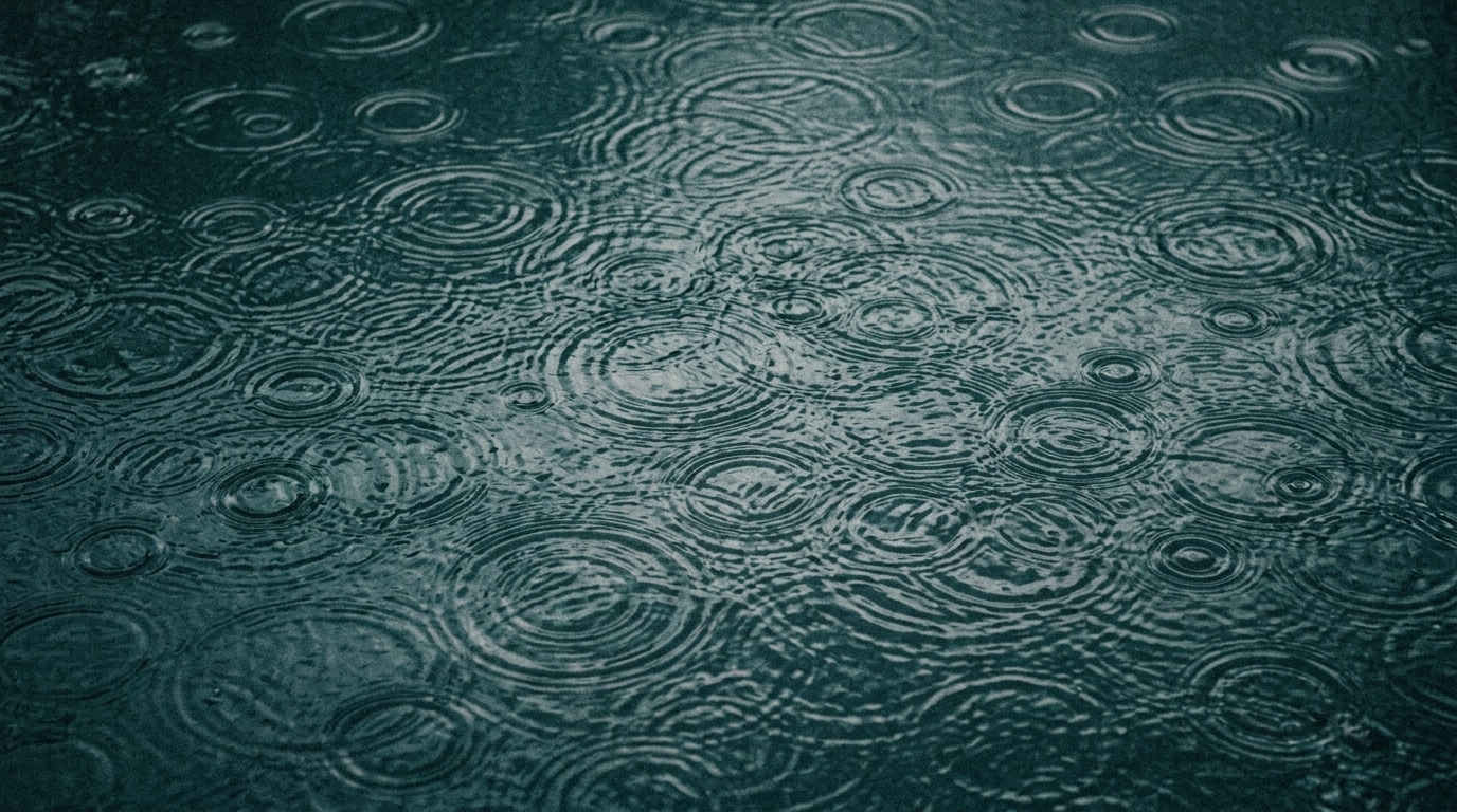 Raindrop rings on water