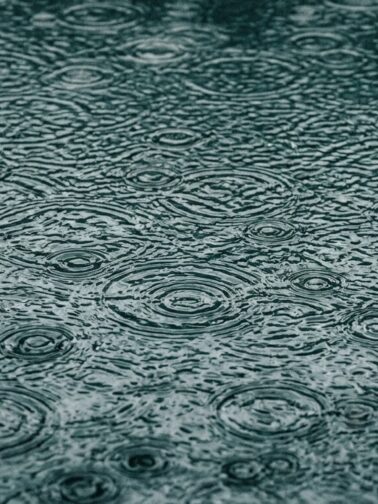 Raindrop rings on water