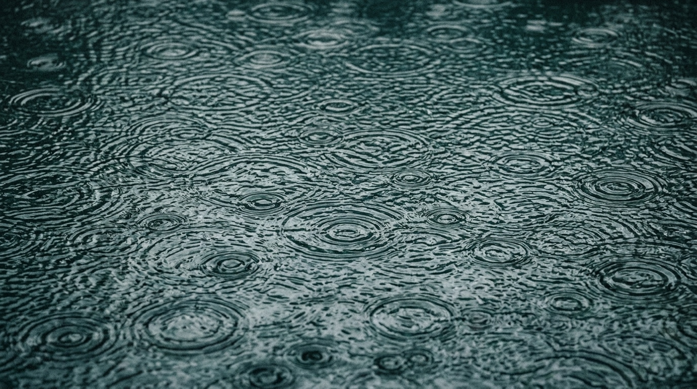 Raindrop rings on water