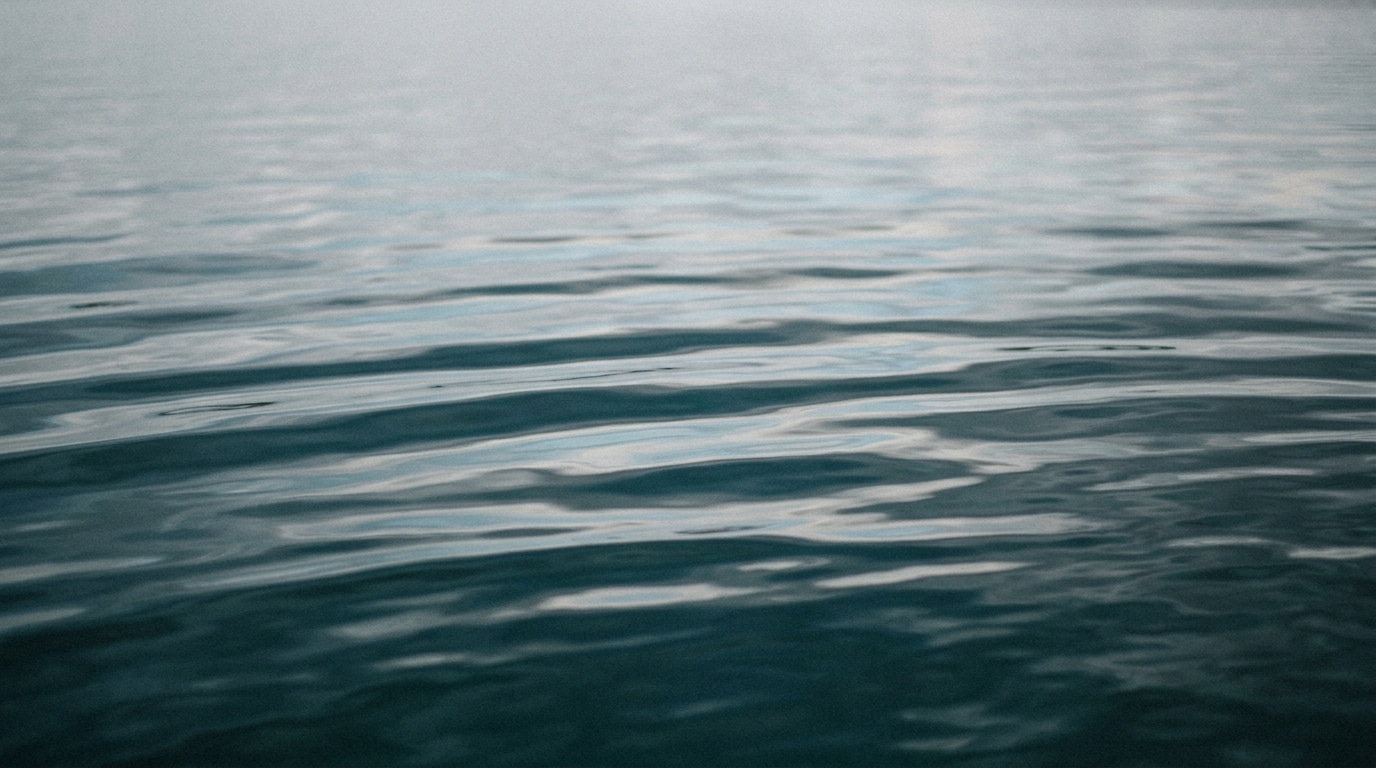 Water reflection pale grey sky