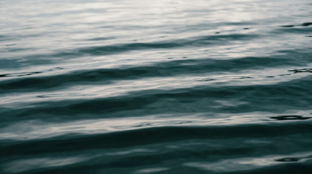 A quiet forest path with dappled light — a visual metaphor for the gentle process of healing from childhood emotional neglect