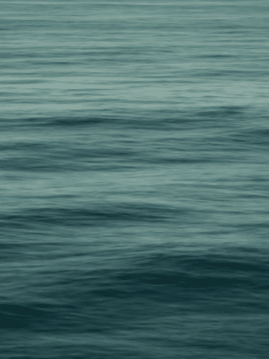 Annie Wright therapy related image