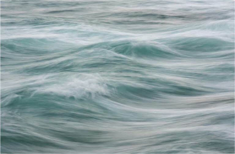 Black Sheep Family Power: What It Means and How to Heal