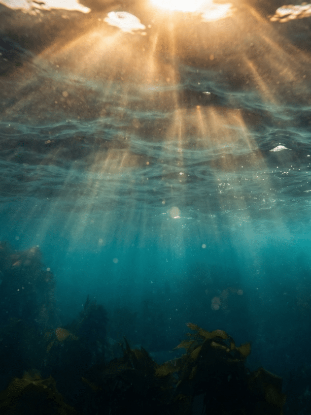 cornerstone10 basement work